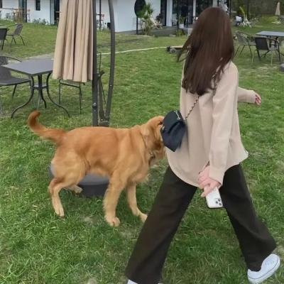 网聘女伴