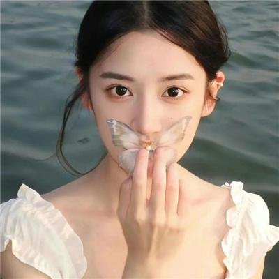 容易受伤的玫瑰